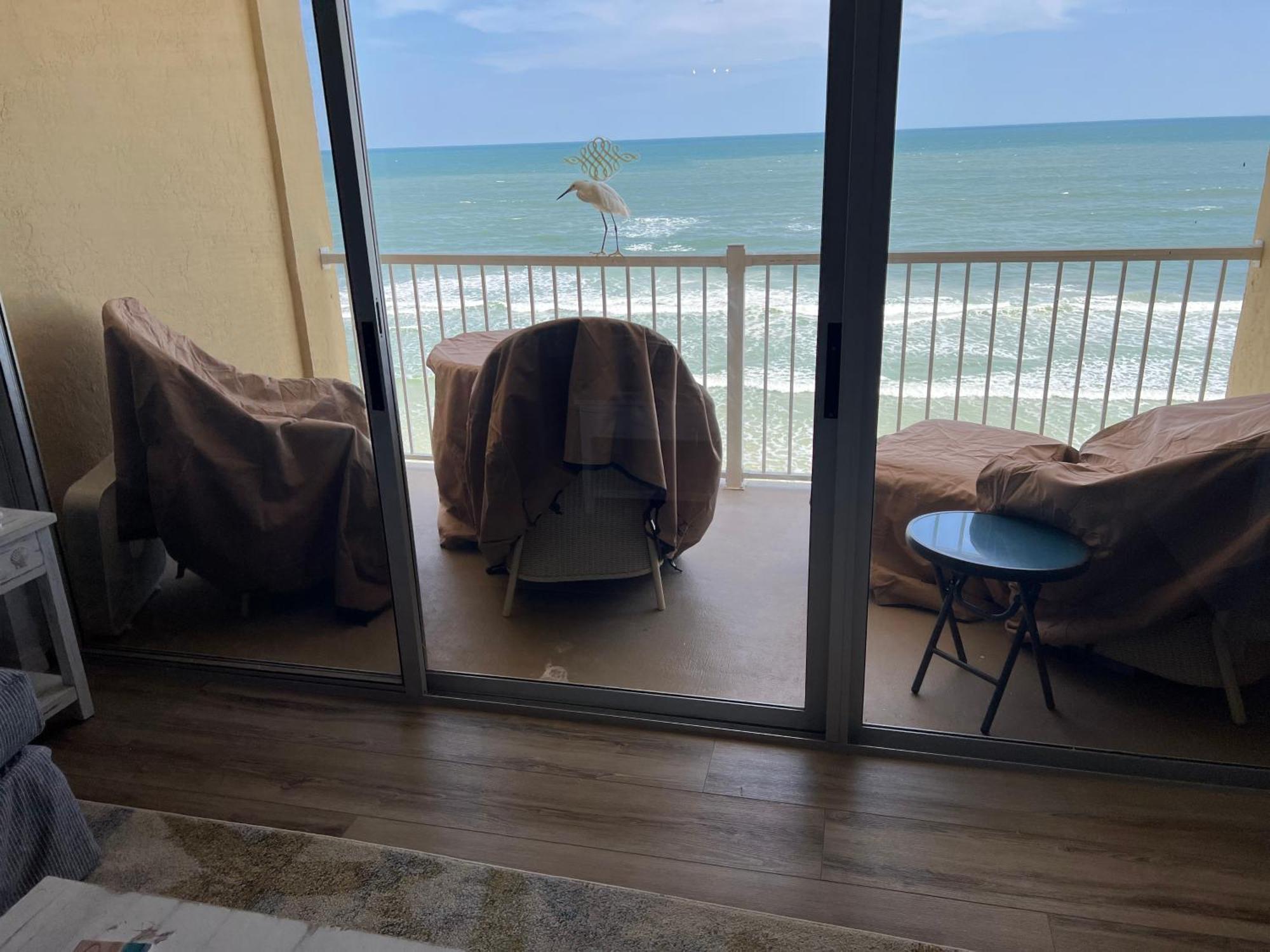 Ponce De Leon Towers Apartment Ню Смирна Бийч Екстериор снимка